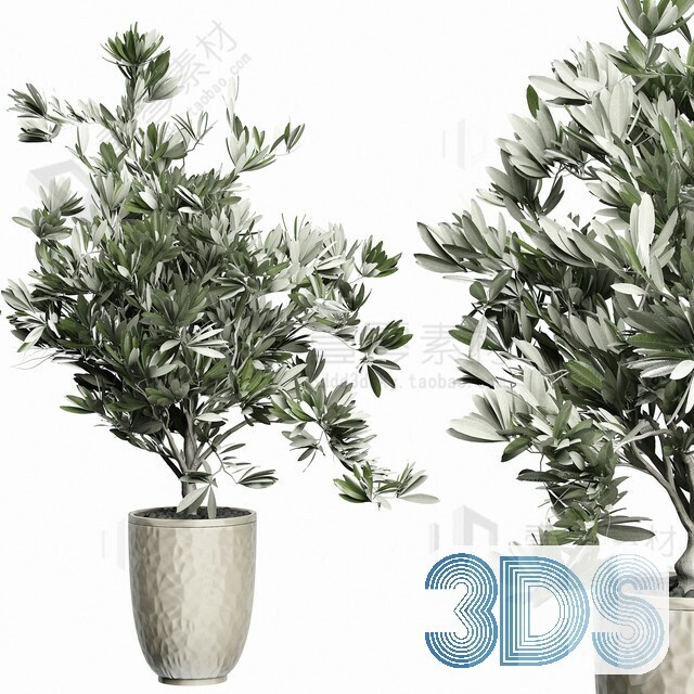 83 Plant 3d Models Pro Vol.04