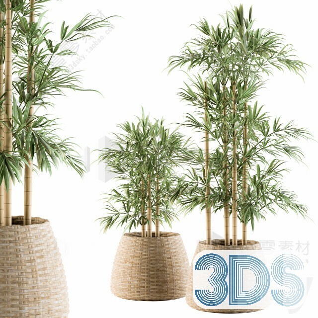 83 Plant 3d Models Pro Vol.04