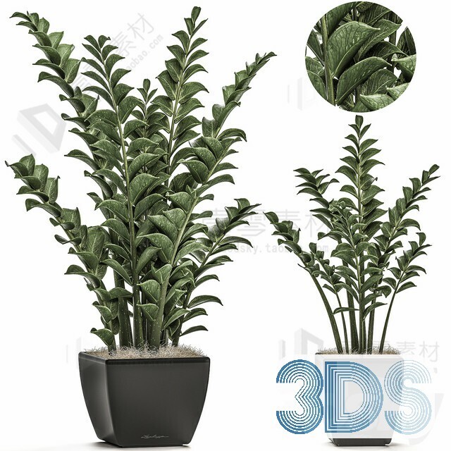 83 Plant 3d Models Pro Vol.04