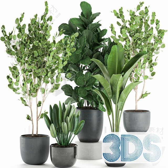 83 Plant 3d Models Pro Vol.04