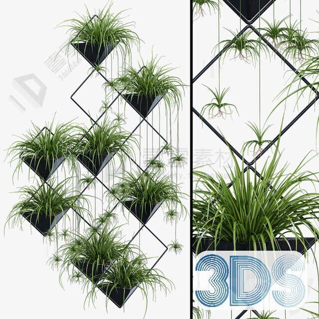 83 Plant 3d Models Pro Vol.04