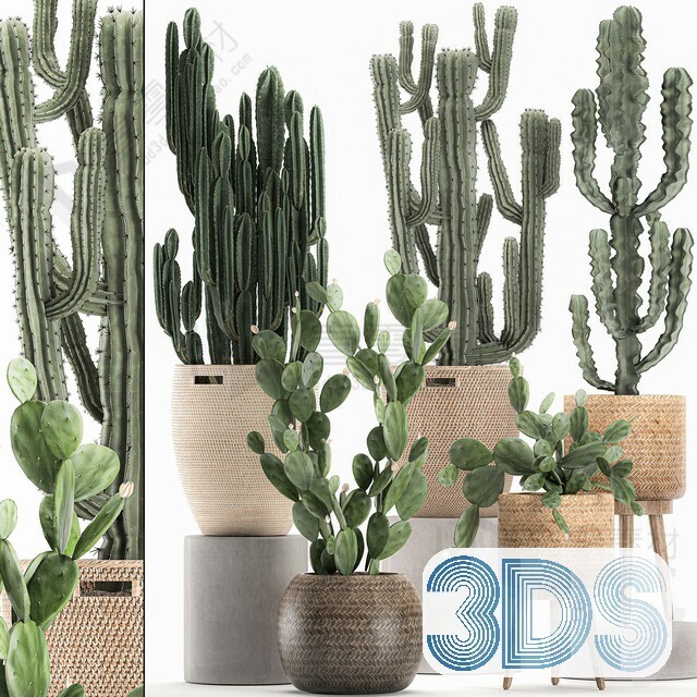 83 Plant 3d Models Pro Vol.04
