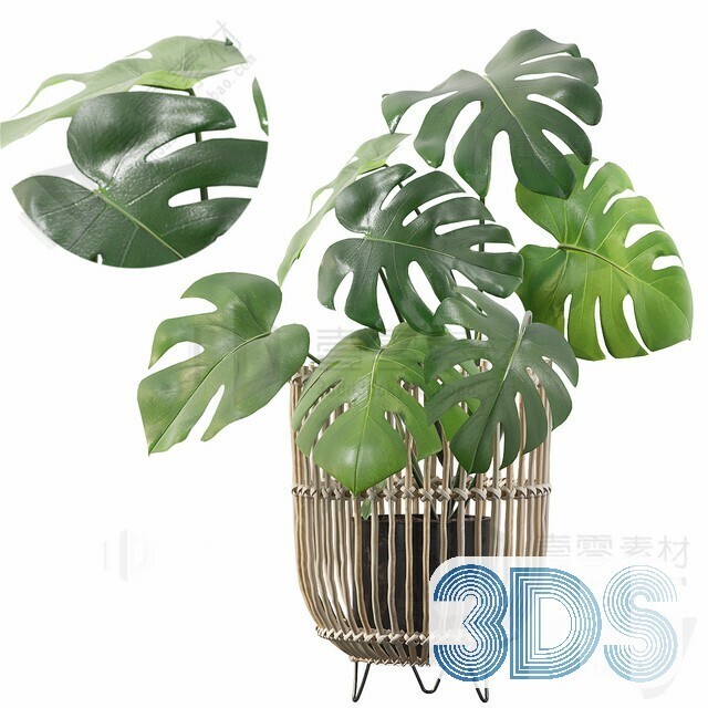 83 Plant 3d Models Pro Vol.04