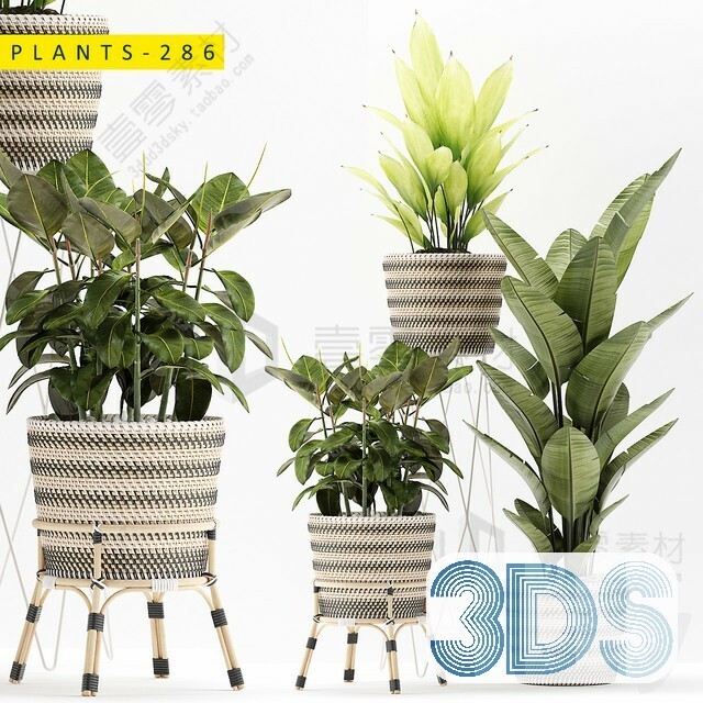 83 Plant 3d Models Pro Vol.04