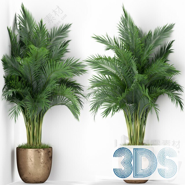 83 Plant 3d Models Pro Vol.04