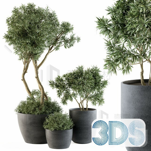 83 Plant 3d Models Pro Vol.04