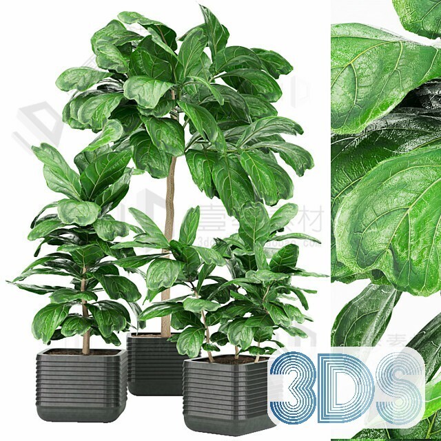 83 Plant 3d Models Pro Vol.04