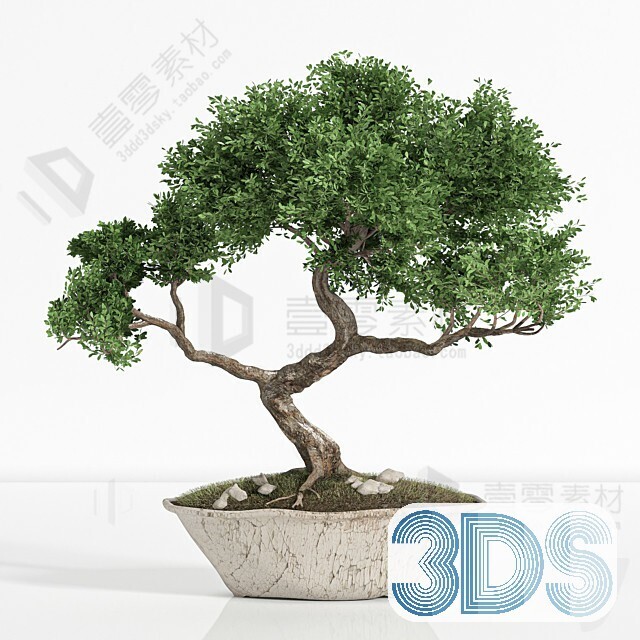 83 Plant 3d Models Pro Vol.04