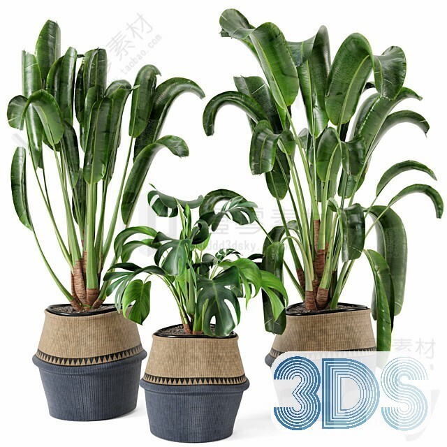 83 Plant 3d Models Pro Vol.04