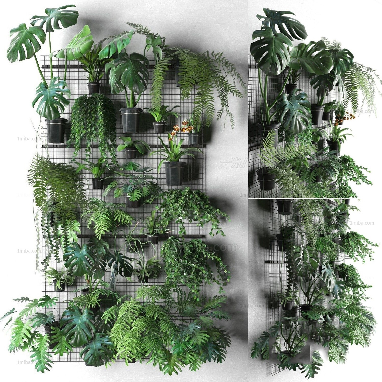 45 WALL PLANT DECOR 3D MODELS VOL.01