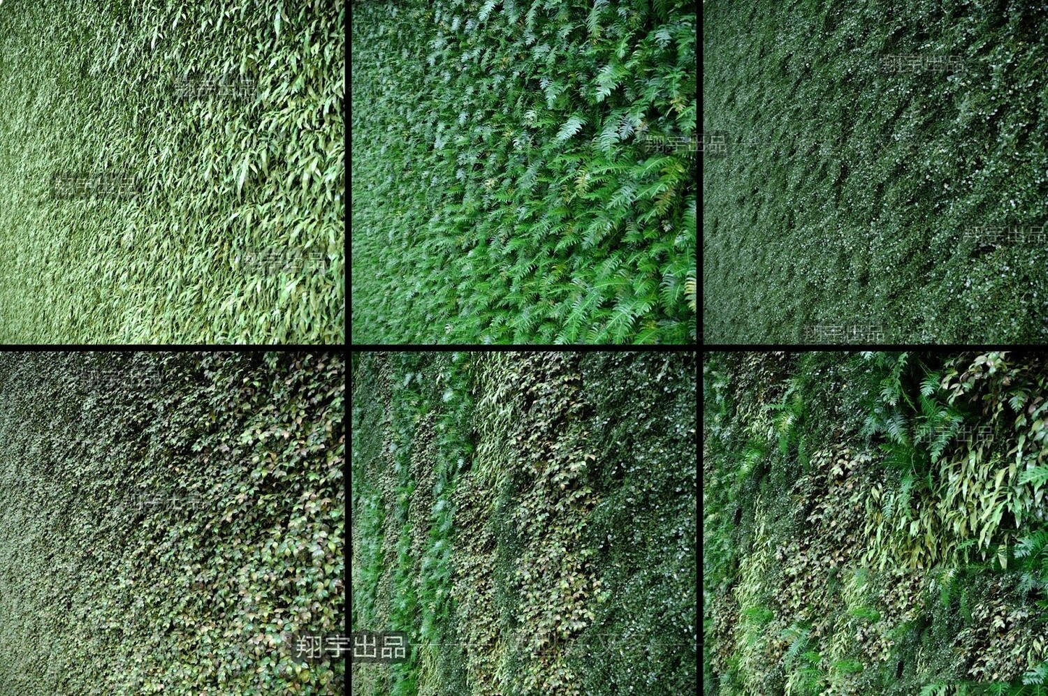 45 WALL PLANT DECOR 3D MODELS VOL.01