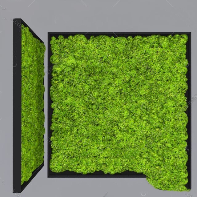 45 WALL PLANT DECOR 3D MODELS VOL.01