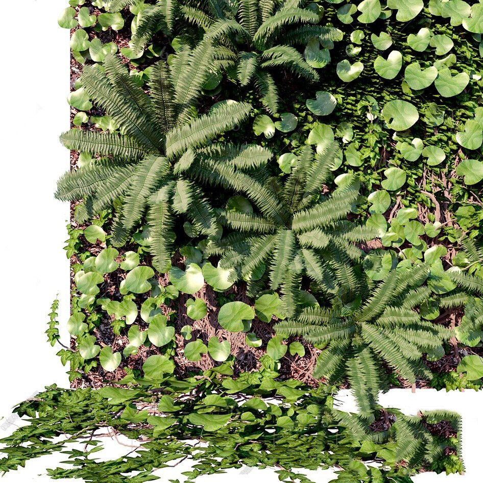 45 WALL PLANT DECOR 3D MODELS VOL.01