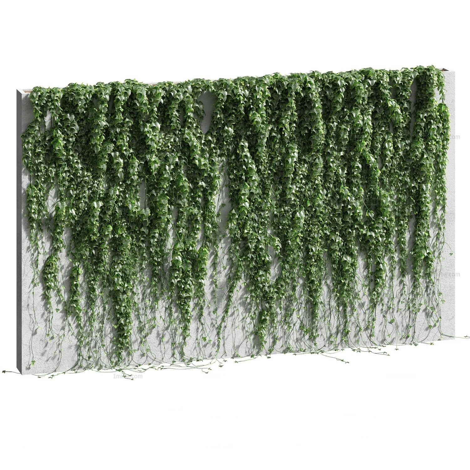 45 WALL PLANT DECOR 3D MODELS VOL.01