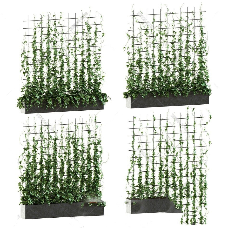 45 WALL PLANT DECOR 3D MODELS VOL.01