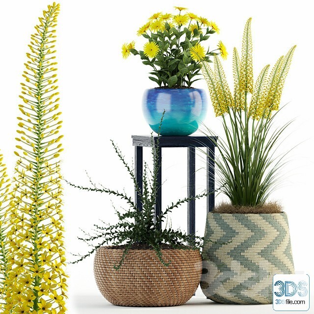 250 Decorative setS 3d models vol.14
