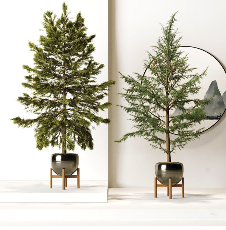 140 Plant 3d Models Pro Vol.05