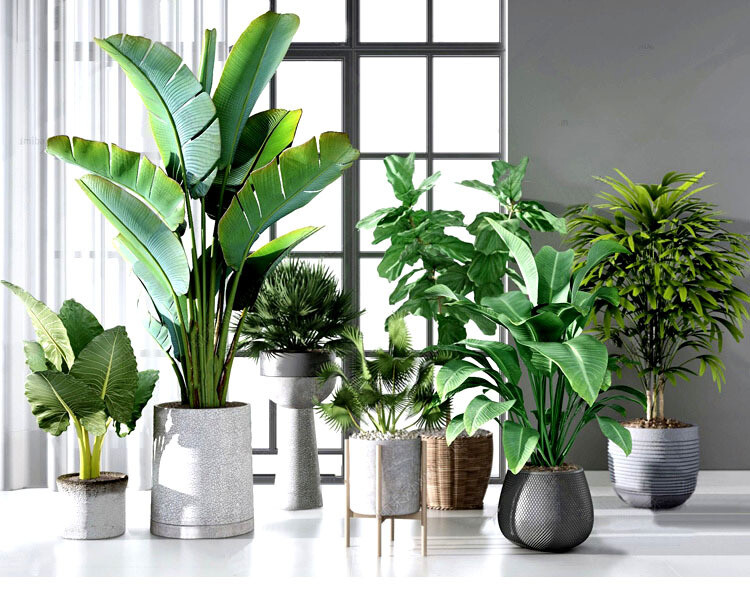 140 Plant 3d Models Pro Vol.05