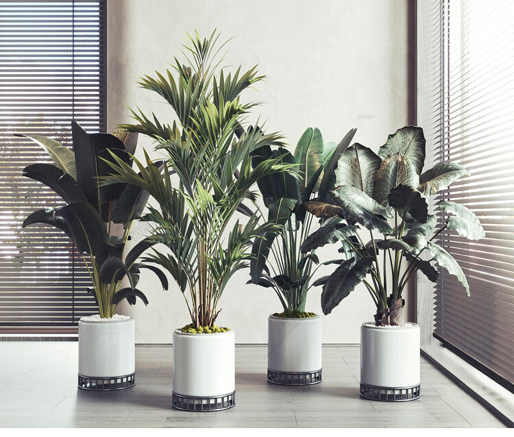 140 Plant 3d Models Pro Vol.05