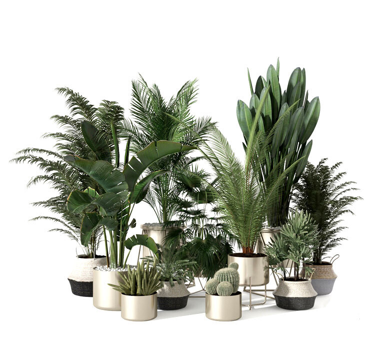 140 Plant 3d Models Pro Vol.05