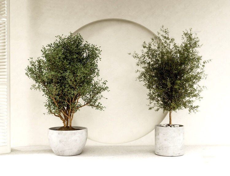 140 Plant 3d Models Pro Vol.05