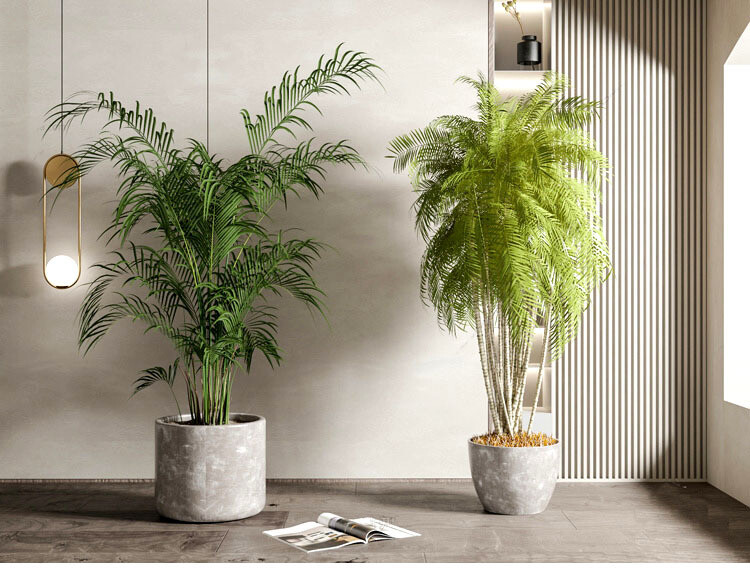 140 Plant 3d Models Pro Vol.05