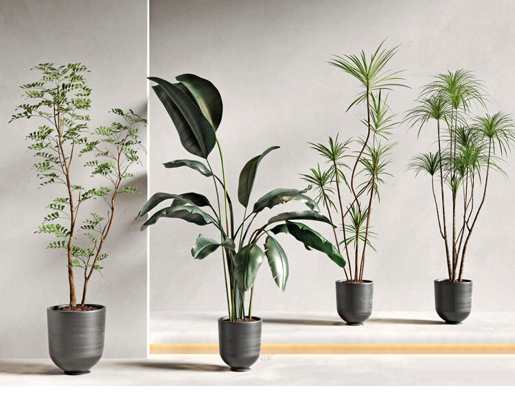 140 Plant 3d Models Pro Vol.05
