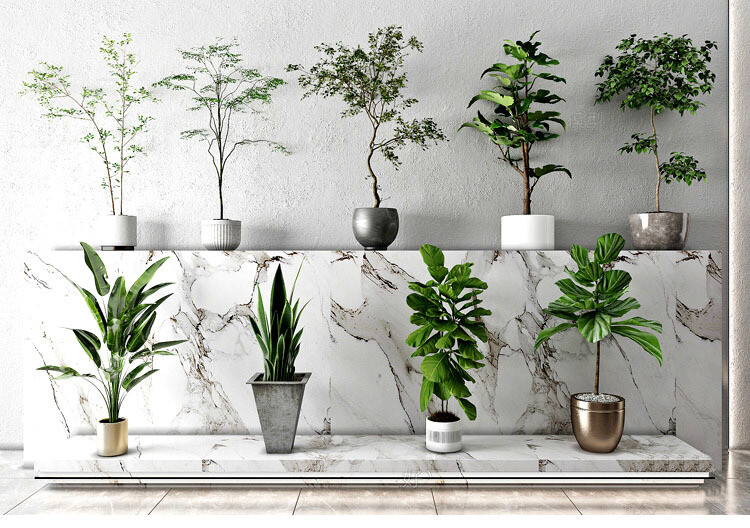 140 Plant 3d Models Pro Vol.05