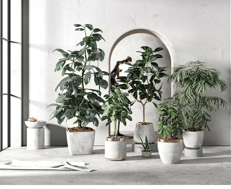 140 Plant 3d Models Pro Vol.05