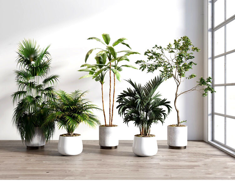 140 Plant 3d Models Pro Vol.05