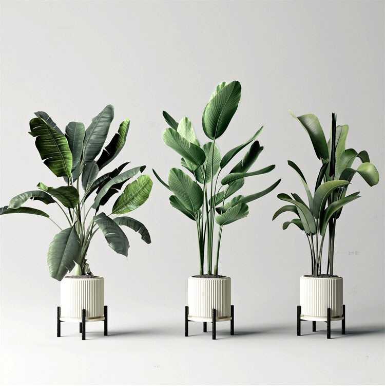 140 Plant 3d Models Pro Vol.05