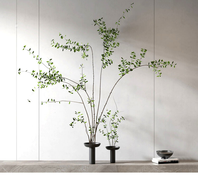 140 Plant 3d Models Pro Vol.05