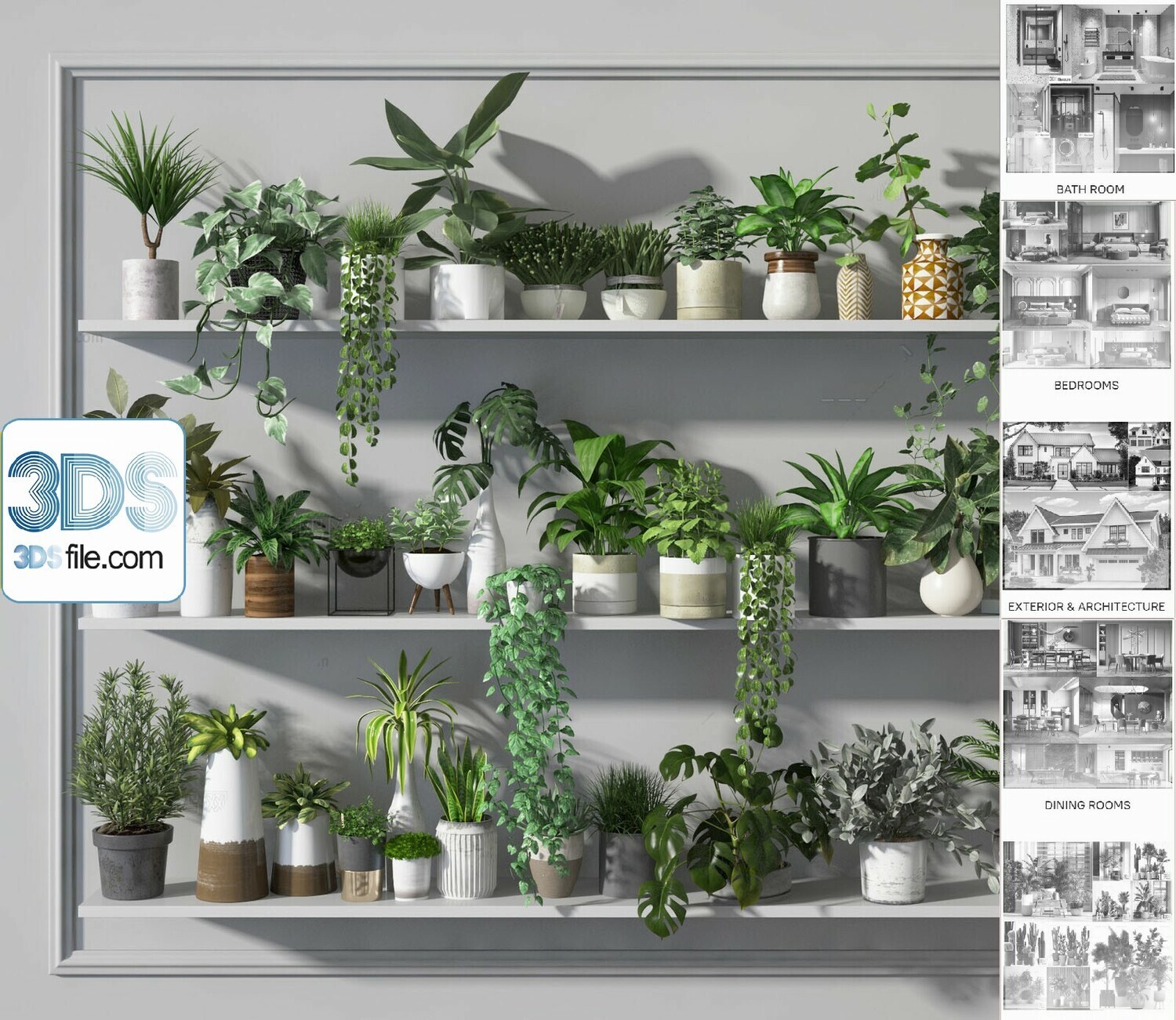 140 Plant 3d Models Pro Vol.05