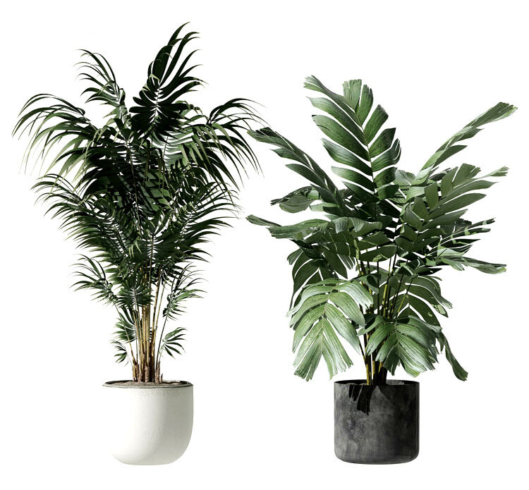140 Plant 3d Models Pro Vol.05