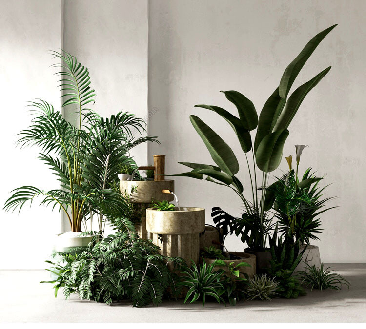 140 Plant 3d Models Pro Vol.05
