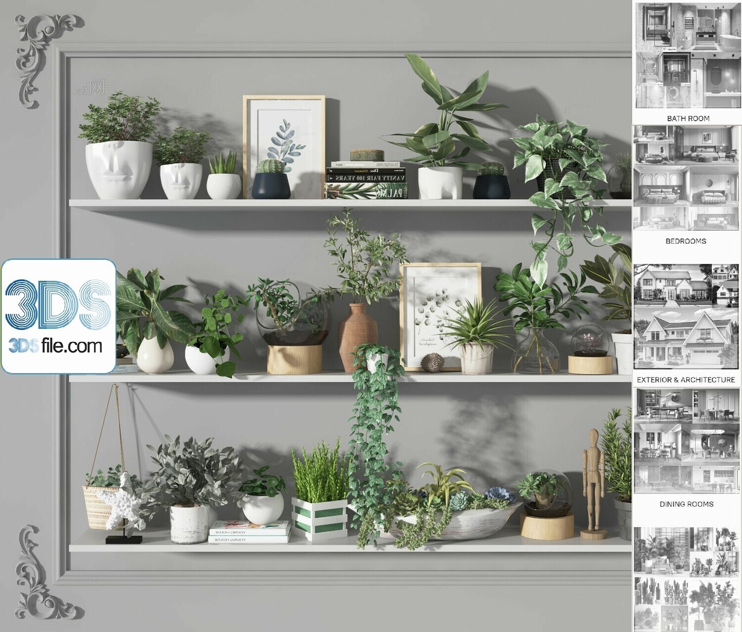 140 Plant 3d Models Pro Vol.05