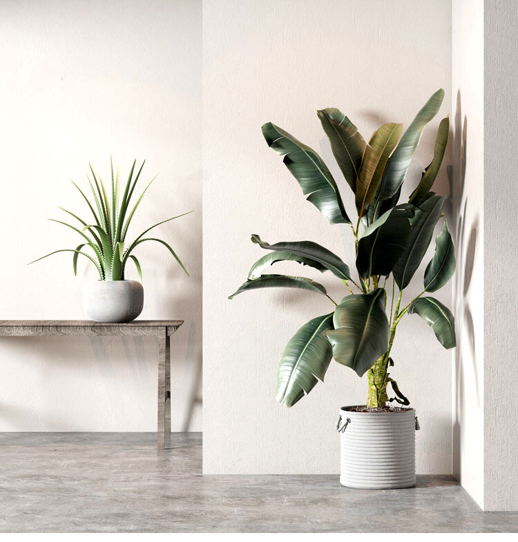 140 Plant 3d Models Pro Vol.05