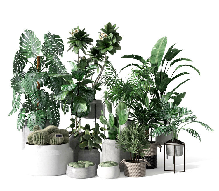 140 Plant 3d Models Pro Vol.05