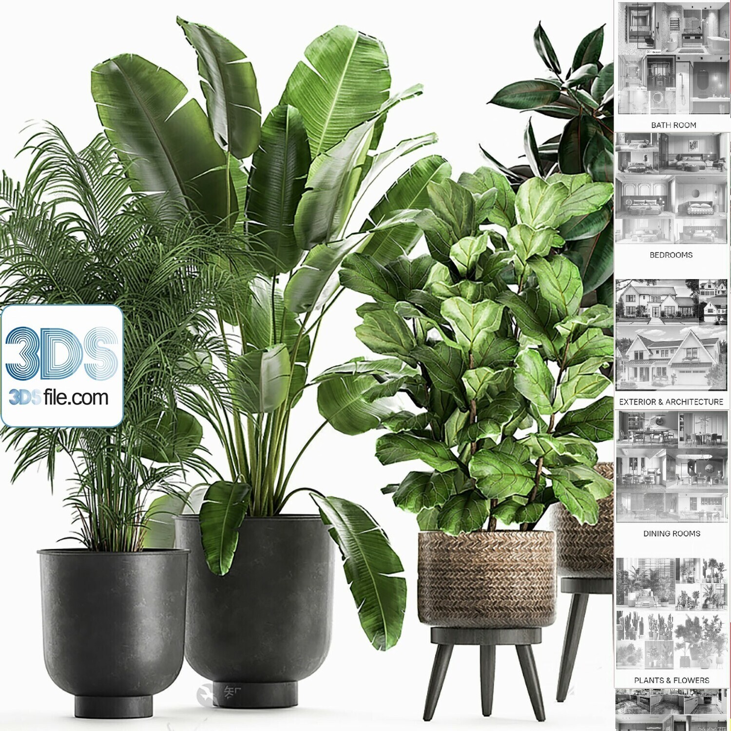 140 Plant 3d Models Pro Vol.05