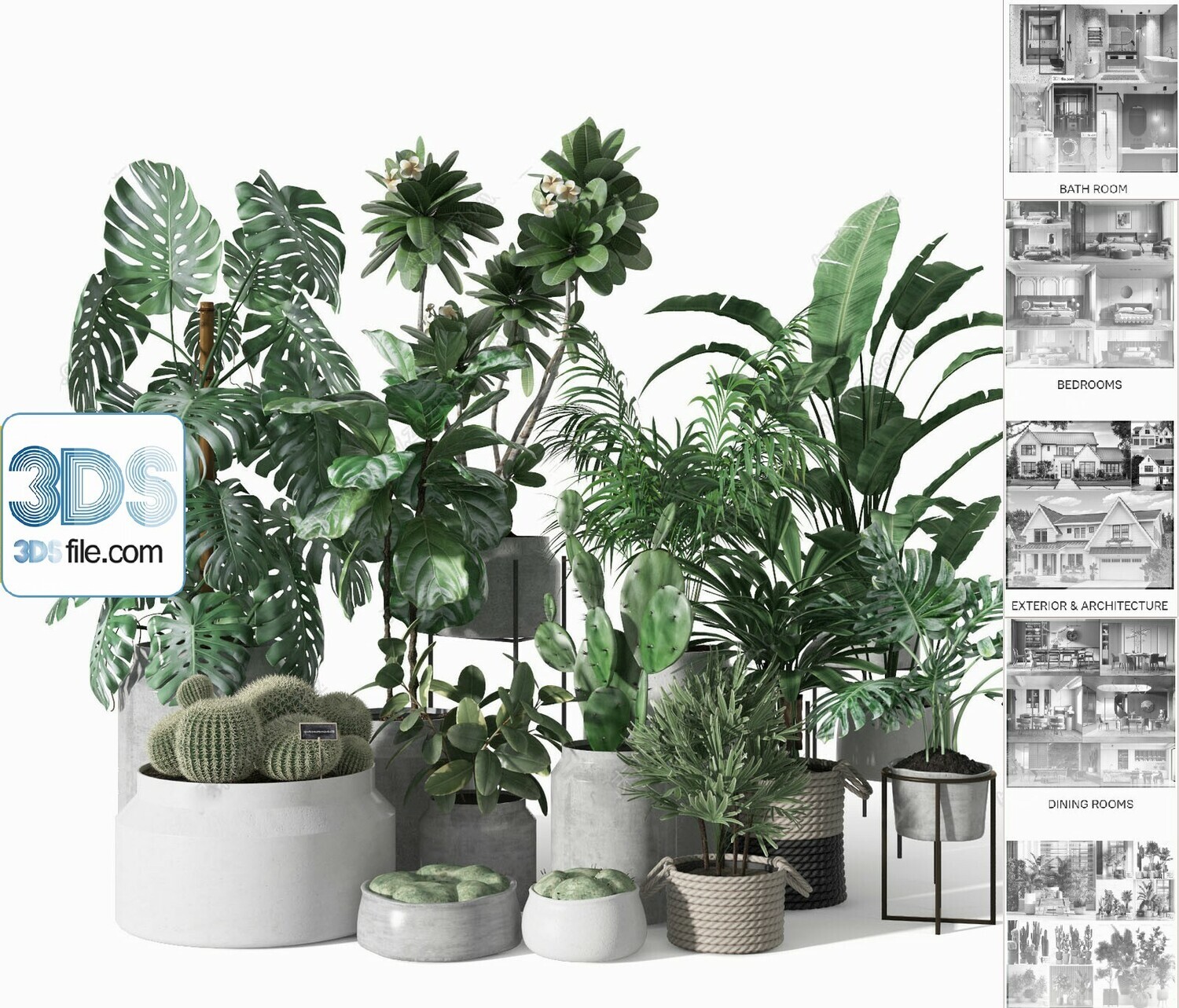 140 Plant 3d Models Pro Vol.05