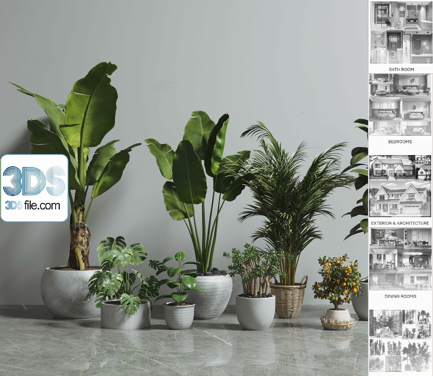 140 Plant 3d Models Pro Vol.05