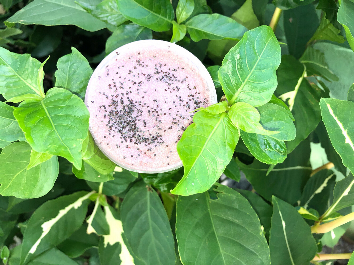 Berry Bliss Brightening Body Slushie