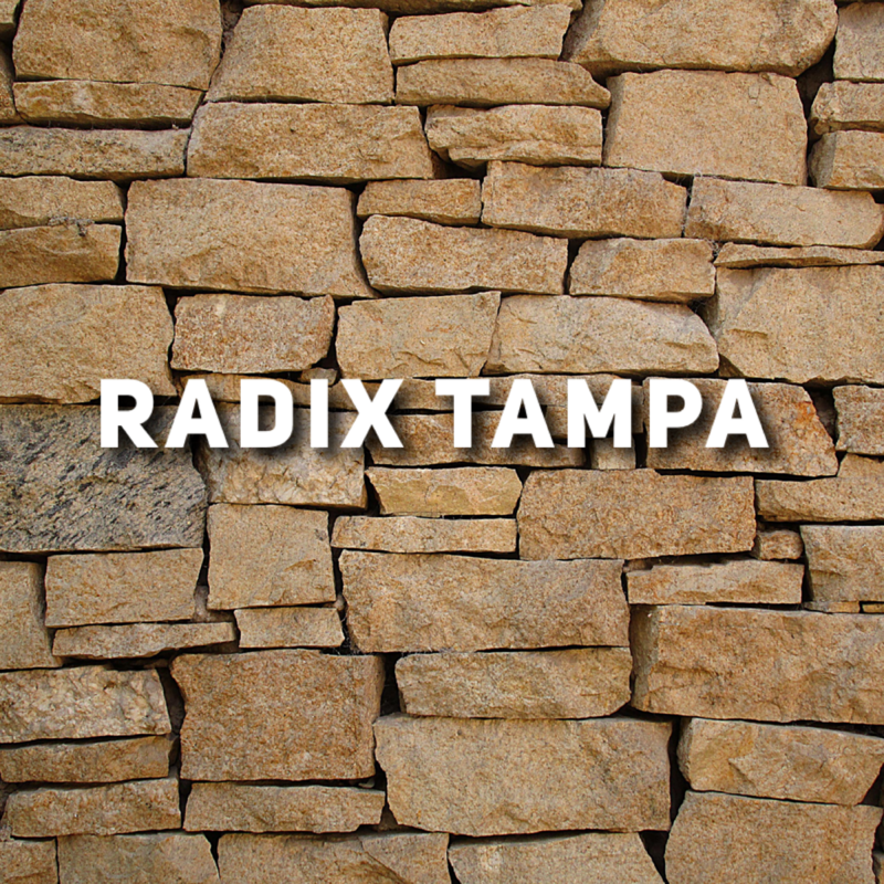 November 4-6  RADIX Tampa