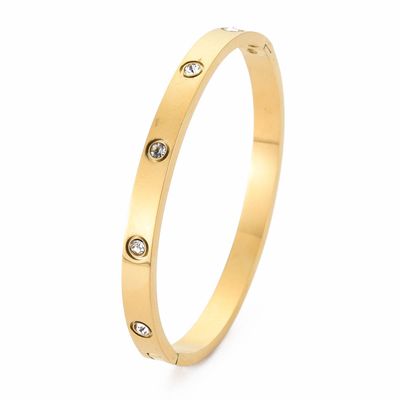 TTGS Bangle In Stainless Steel/18k Gold