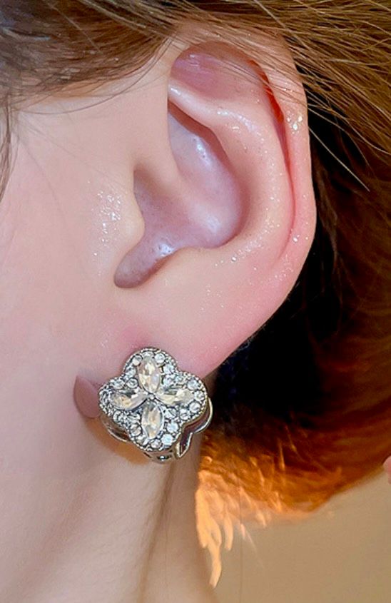Van Double Sided Bling Earrings