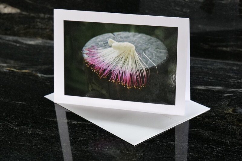5" x 7" cards with hand-mounted Hawaii photo (set of 5)