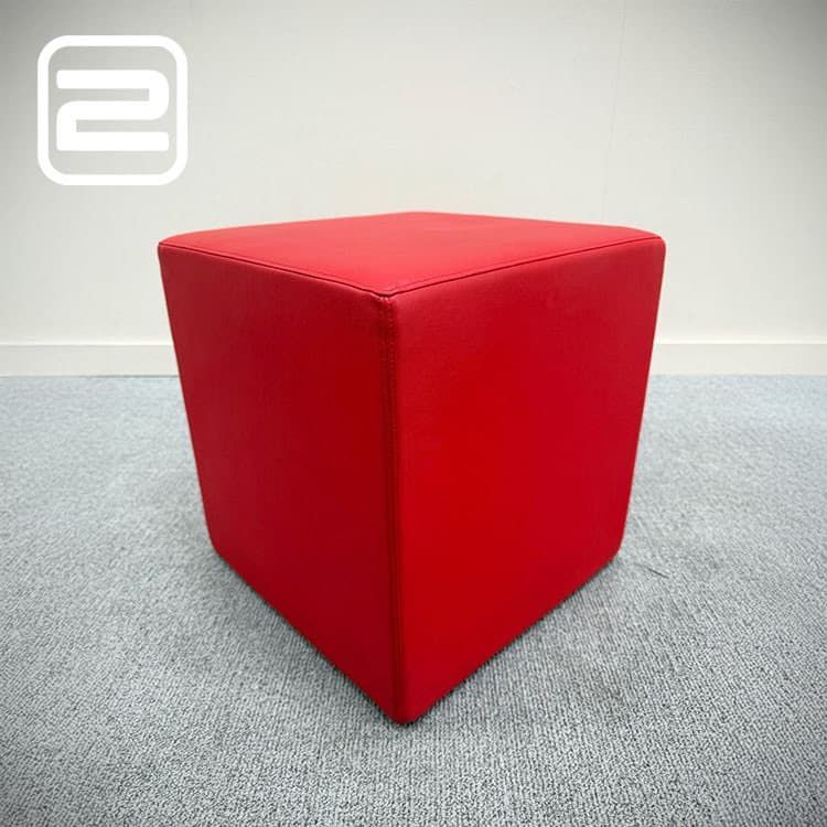 DRISAG Poef B45xL45xH45 - Rood Leder