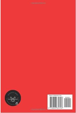 Let&#39;s Build: The Collection Paperback – Large Print, August 28, 2022 by Naledi M (Author), Ernest Rens (Editor, Illustrator, Translator)