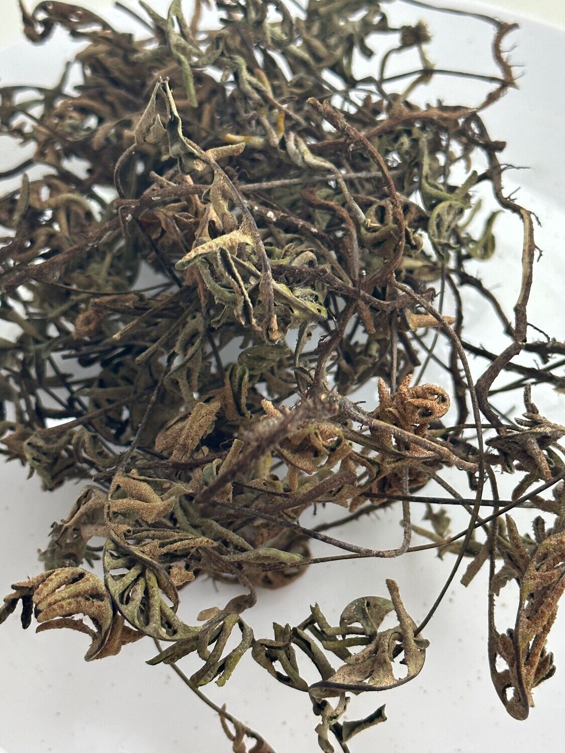 Kalawalla