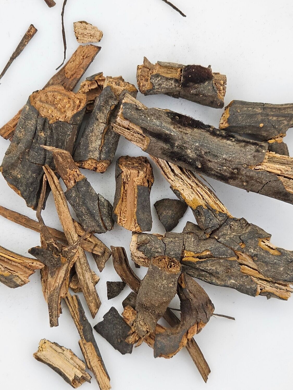 Sarsaparilla Root